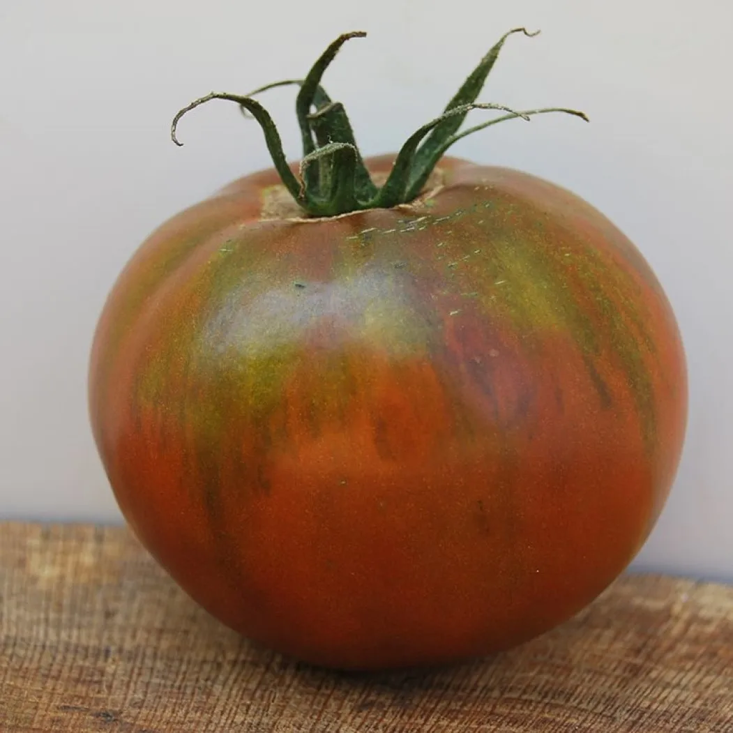 томат черный принц. томаты черный принц и кумато. сорт черный принц томат. сорт помидор черный принц фото. томат черный принц.