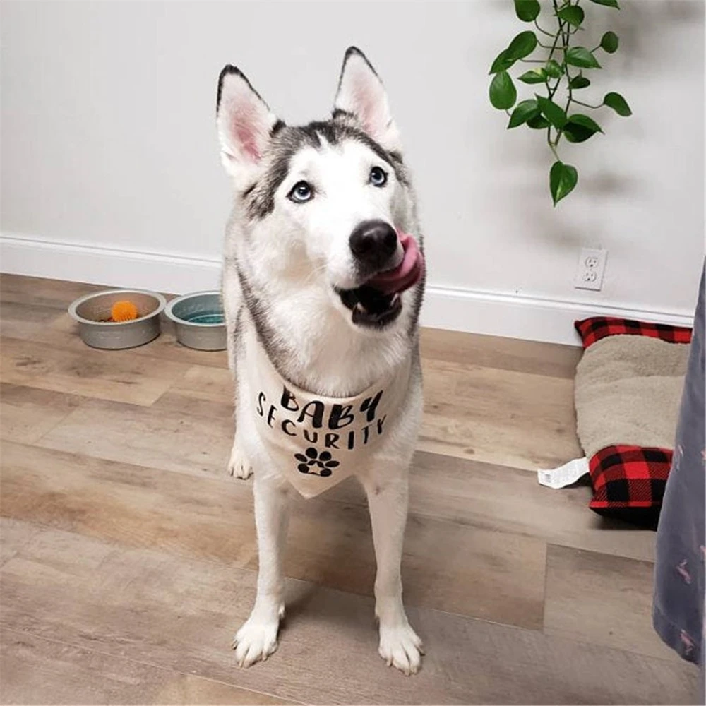 Precio pañuelos de perro personalizados