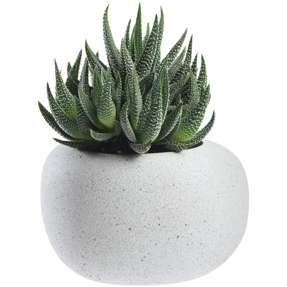 Кашпо Share-On-Stone дизайнерские аксессуары декоративный бетон | Дом и сад