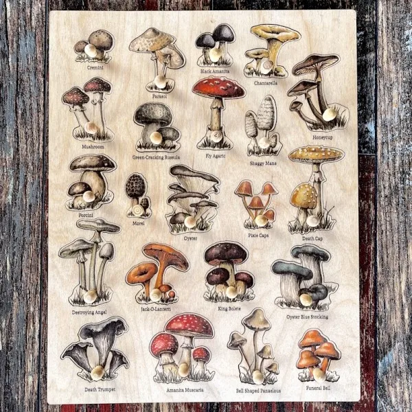 

Child Mushroom Types Toy Montessori Wooden Puzzle 3D Teaching Aids Shape Matching Puzzle Preschool