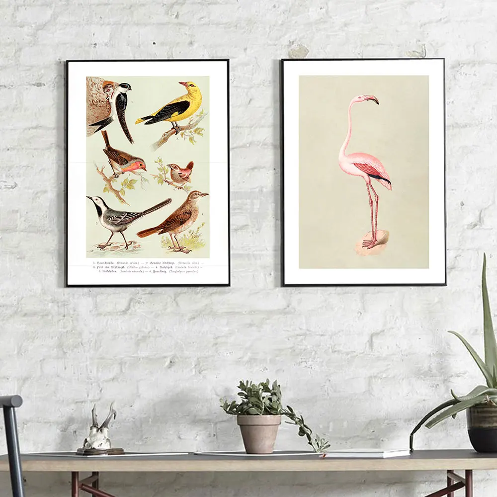 

Vintage Flamingo Poster Retro Birds Art Print Mid Century Canvas Painting Nordic Modern Wall Picture For Bedroom Home Decor