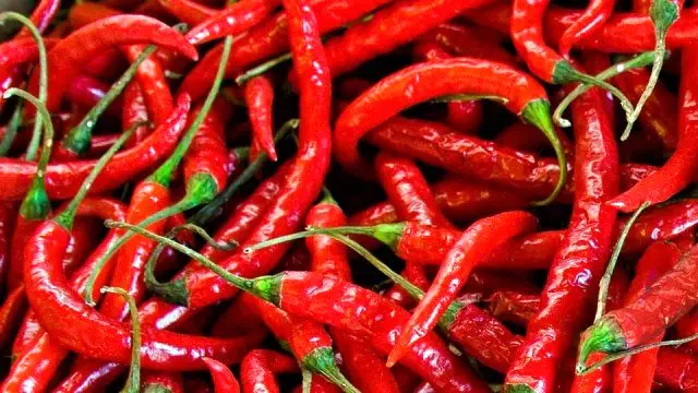 Масло из семян горячего перца 100% органическое 20 мл эфирные масла турецких