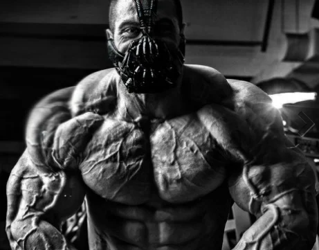 

Vcut gelitirme takviyeleri + anabolik androjenic + byme hormonu + kas + dahil arnolds + spor eker + pompalayclar + roids