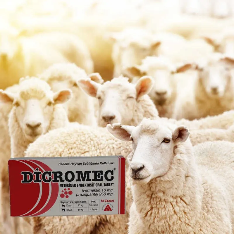 

Dicromec For Animal Anti Parazit Bit Flea Tick Scabies anti worm For Animals Healty vermectin