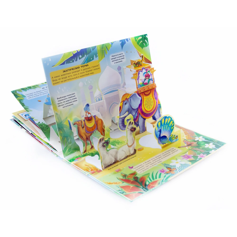 POP UP энциклопедия.Домашние животные : книжка панорамка|Чтение| |