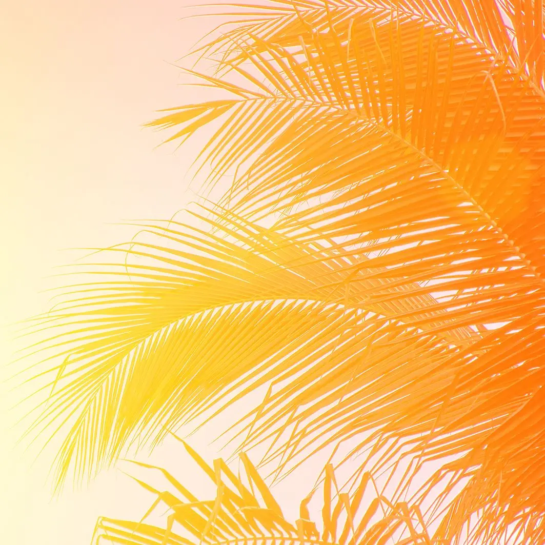 

Curtain Palm Tree Leaves Tropical Sunny Beach Holidays Nature Theme Photo Orange Beige