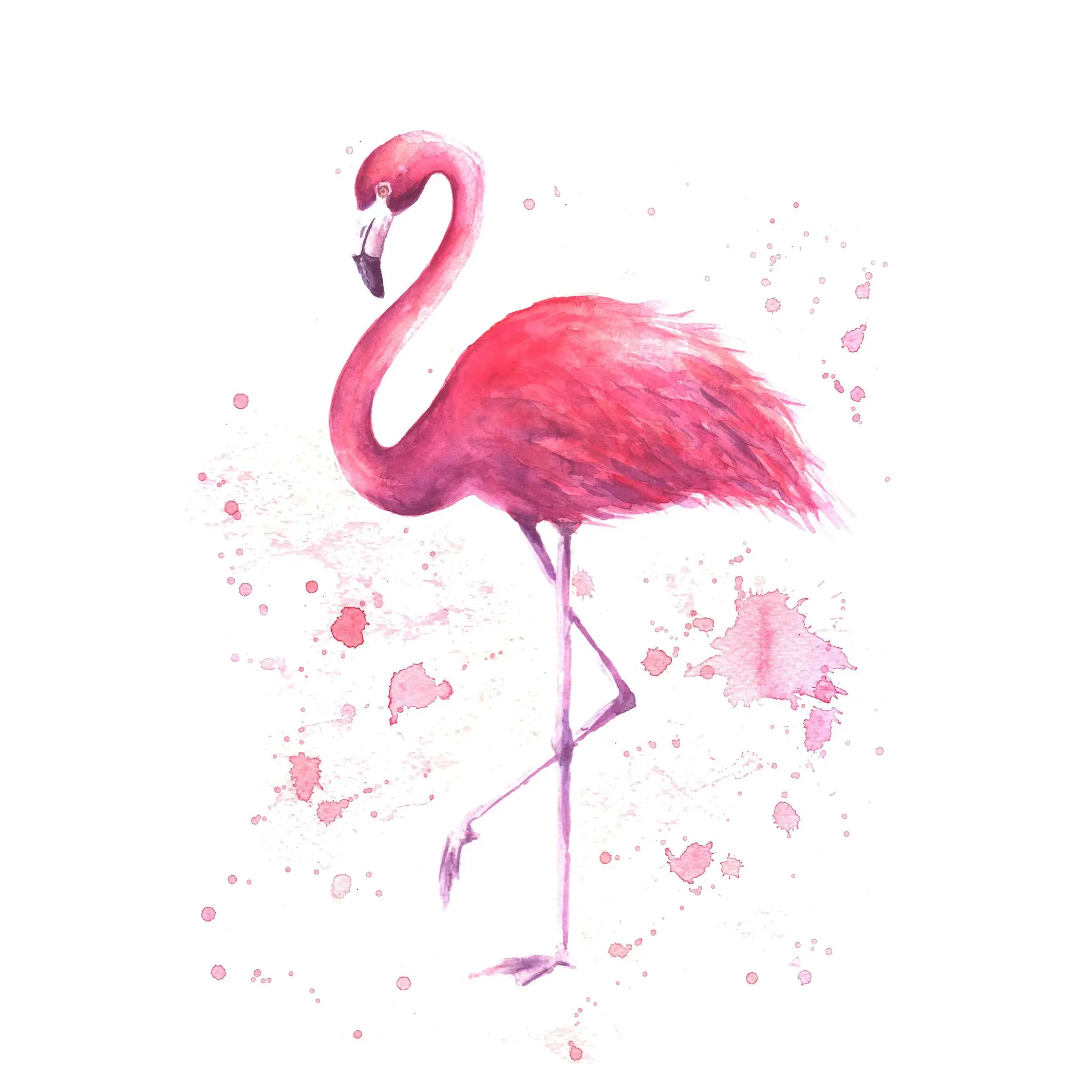 Занавеска тропическая экзотическая птица роза с розовым Фламинго акварельные