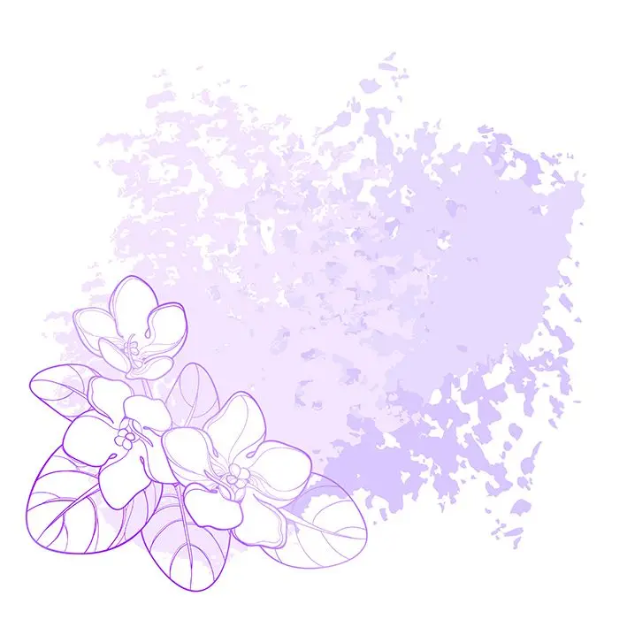 Занавеска Saintpaulia африканские фиолетовые цветы листья природа современный