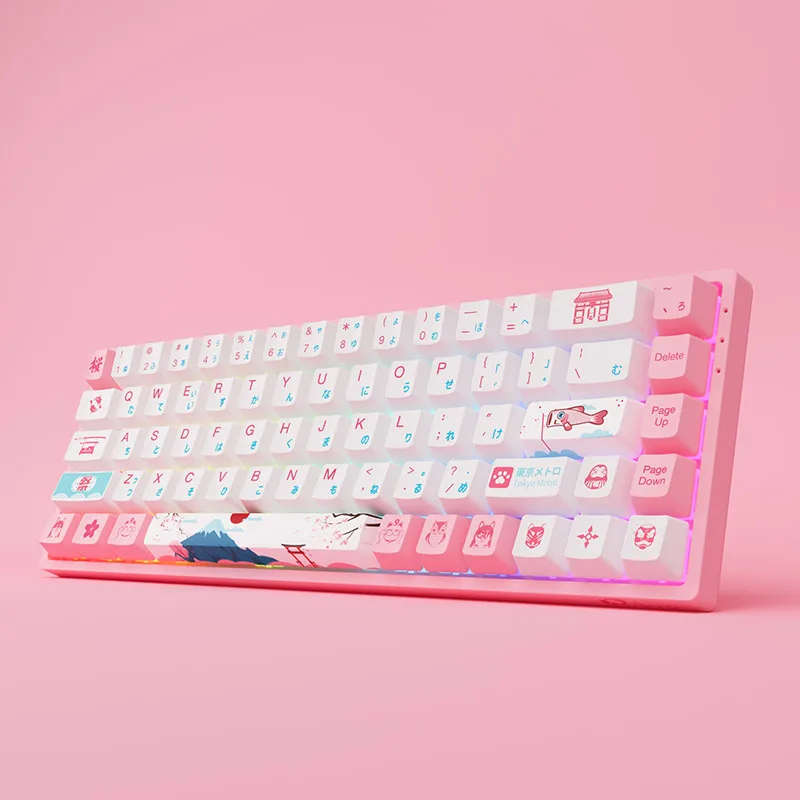 

AKKO 3068 R2 World Tour Tokyo 68 Keys RGB 65% Bluetooth 5.0 Wired/Wireless Mechanical Keyboard with PBT Japanese Keycaps Gateron