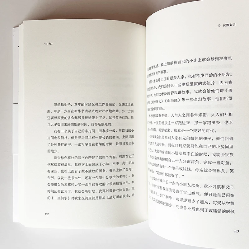 Sight (Mu Guan) от Tao Yong китайское сочинение (no Pinyin) | Канцтовары для офиса и дома