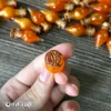 Изображение товара 1