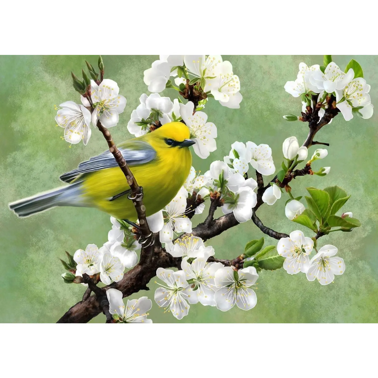 

Nova 1000 Parça Habercisi Of Puzzle Spring Fruit Flowers Bird Green-Jigsaw Puzzle-Blue Puzzle Carton-Doğa foliage