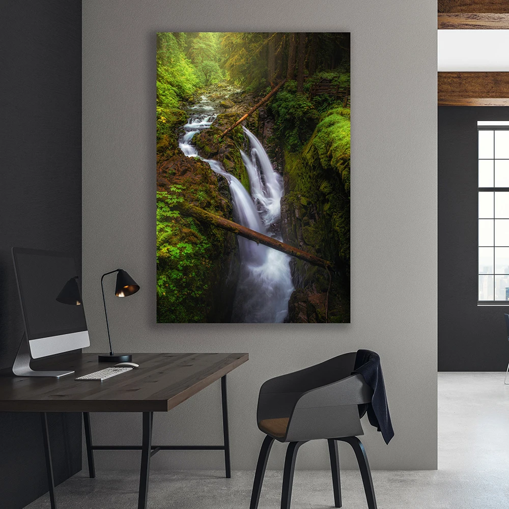 

Coco Rainforest and Printed Canvas Painting Modern Rainforest River Art Mural Cuadros Picture for Bedroom Living Room Home Decor