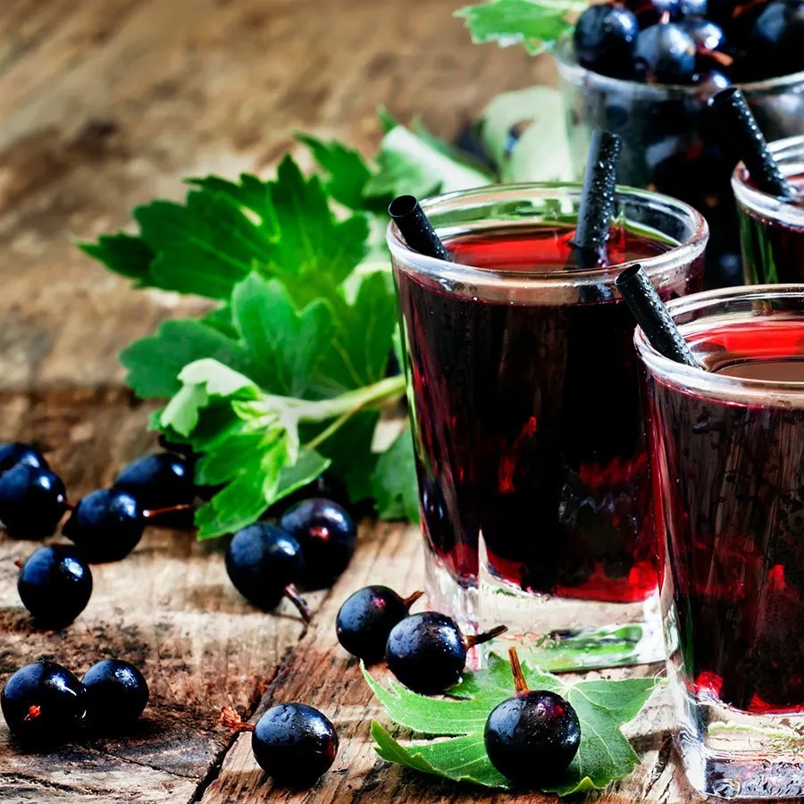 Perfume candlescience-absinthe of black currant 20гр | Дом и сад
