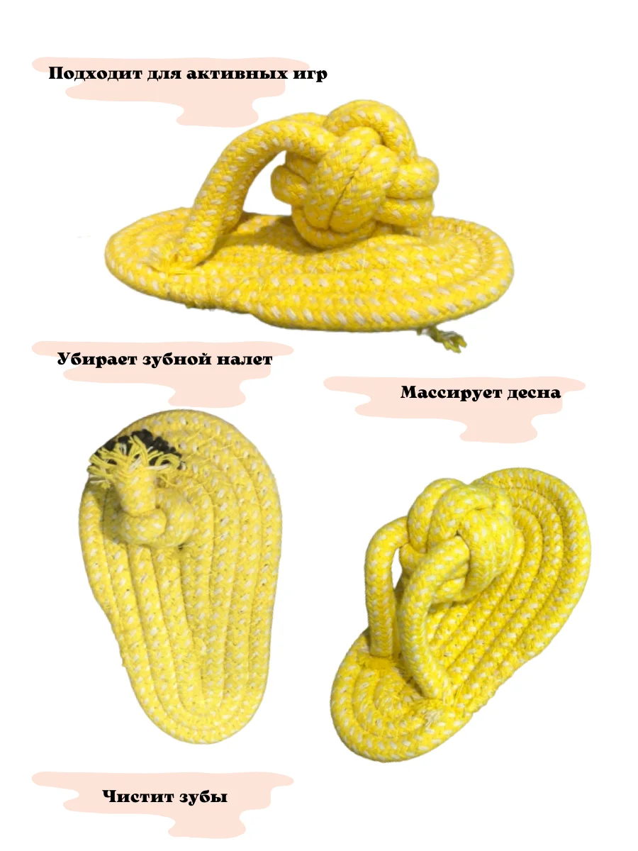 Dog toys chewing hernia small breed dog | Toys