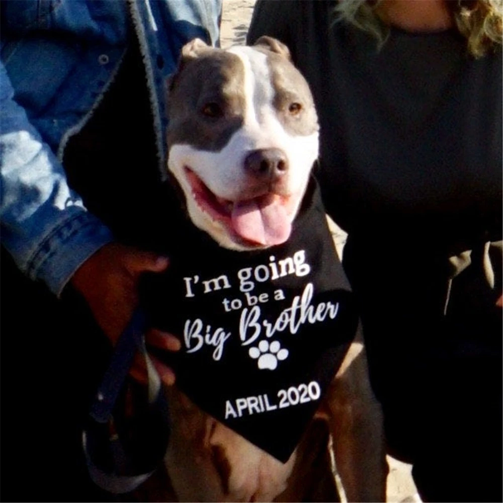 Персонализированные Дата текста Собака Бандана я буду a Big Brother объявление