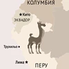 Изображение товара 5