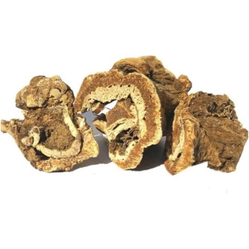 

Корень Ferula elaeochytris 50-400 г Бесплатная доставка