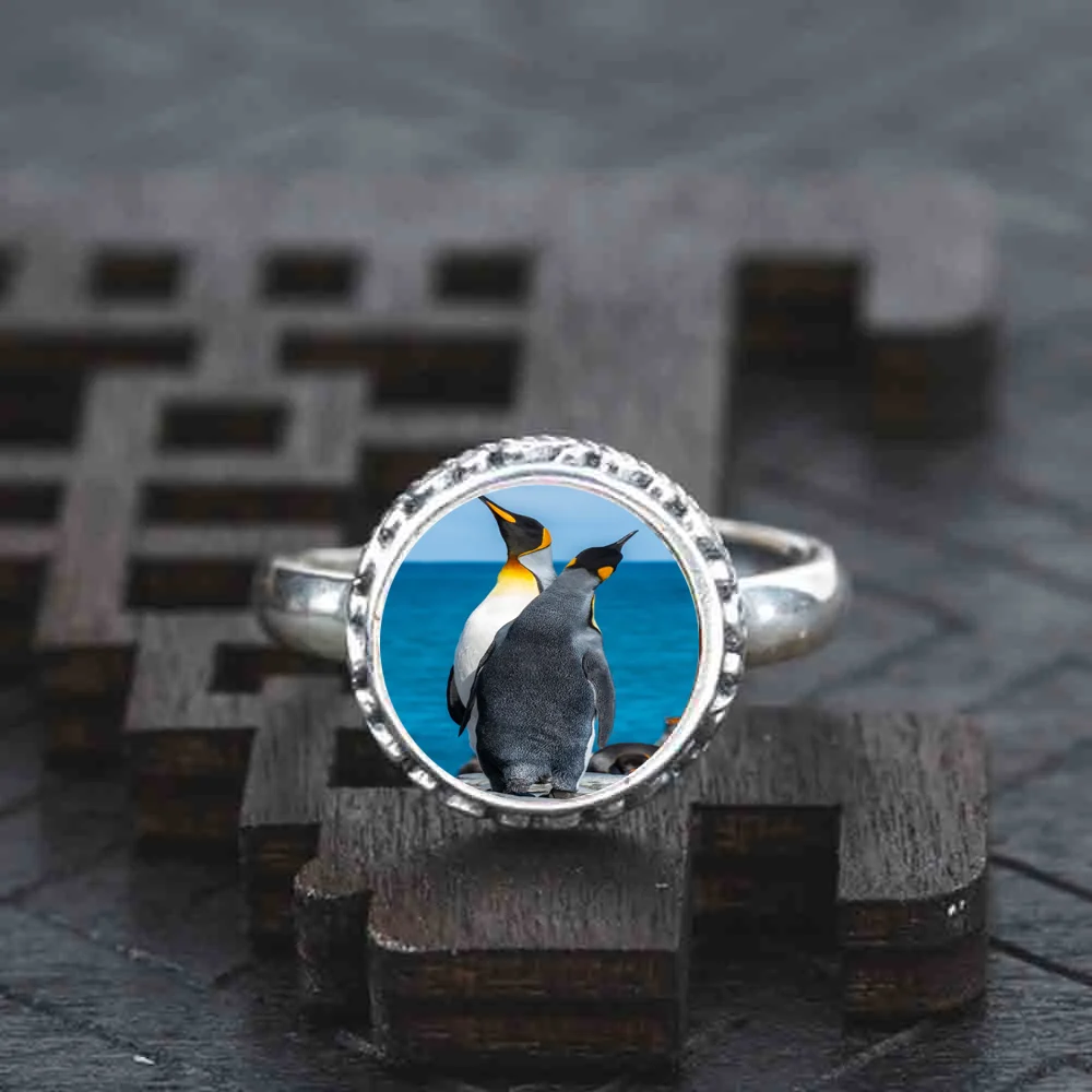 Фото Женское Обручальное платье с кольцом Два пингвина серебро 925 пробы 1 шт./компл. |