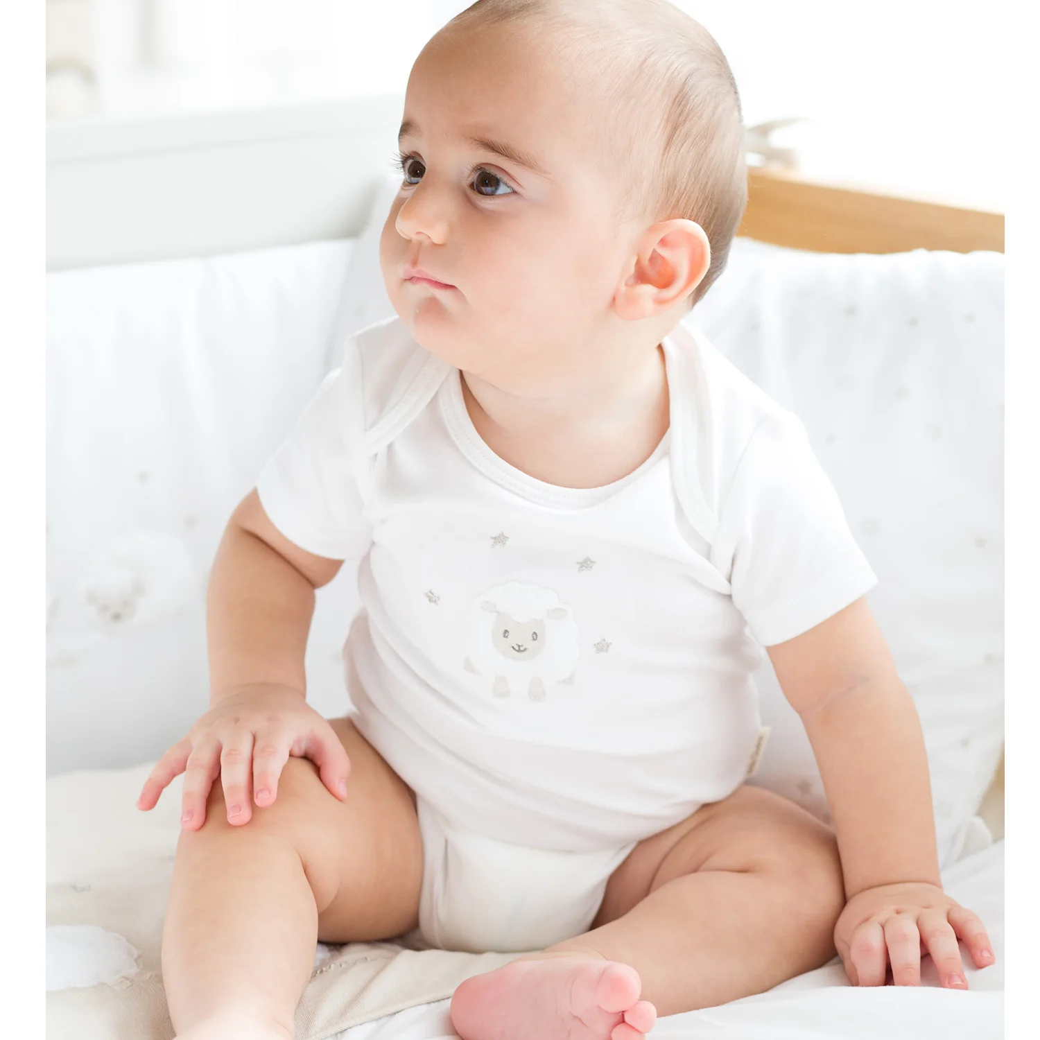 

Lamb Baby Bodysuit Short Sleeve 3 Pcs