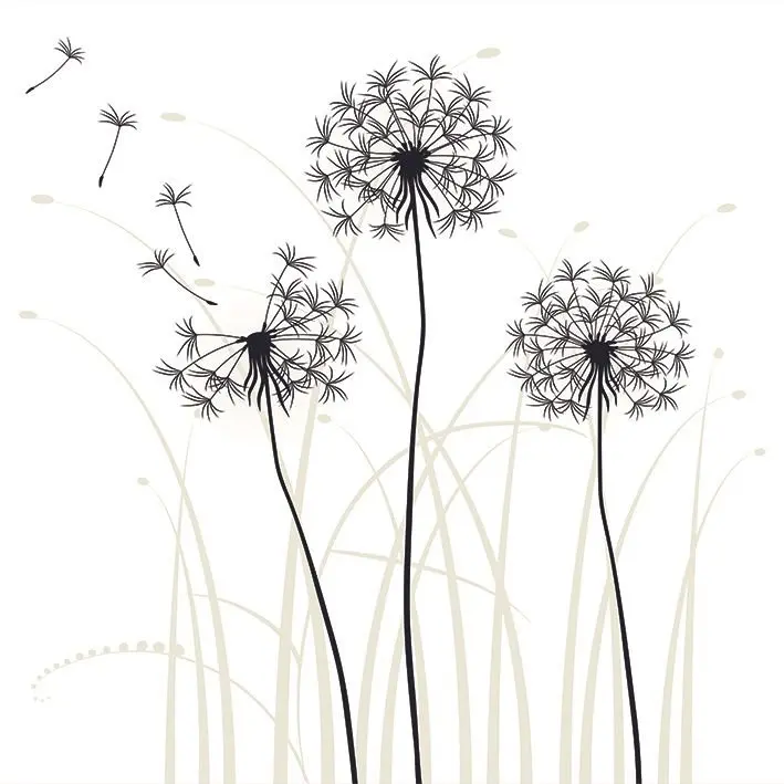 

Curtain Dandelions Silhouette Autumn Field with Wild Flowers and Grasses Countryside Nature Black and White Art