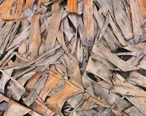 Сушеные Банановые листья 50 г товары для домашних животных рыба аквариум креветки