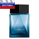 Парфюмерная вода Avon Segno Visionary для него, 100 мл Косметика Парфюм мужской эйвон для мужчин брендовый