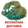 Изображение товара 0