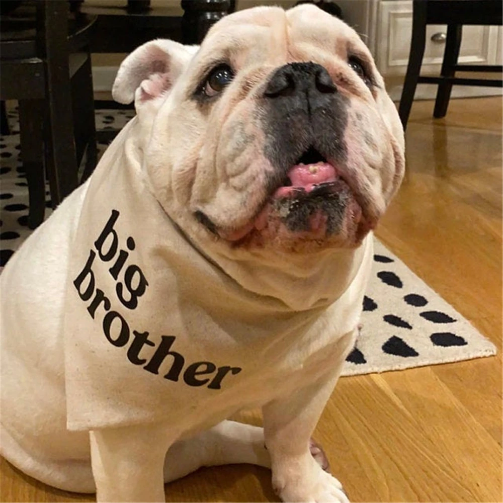 Price cachorro bandanas irmão mais velho