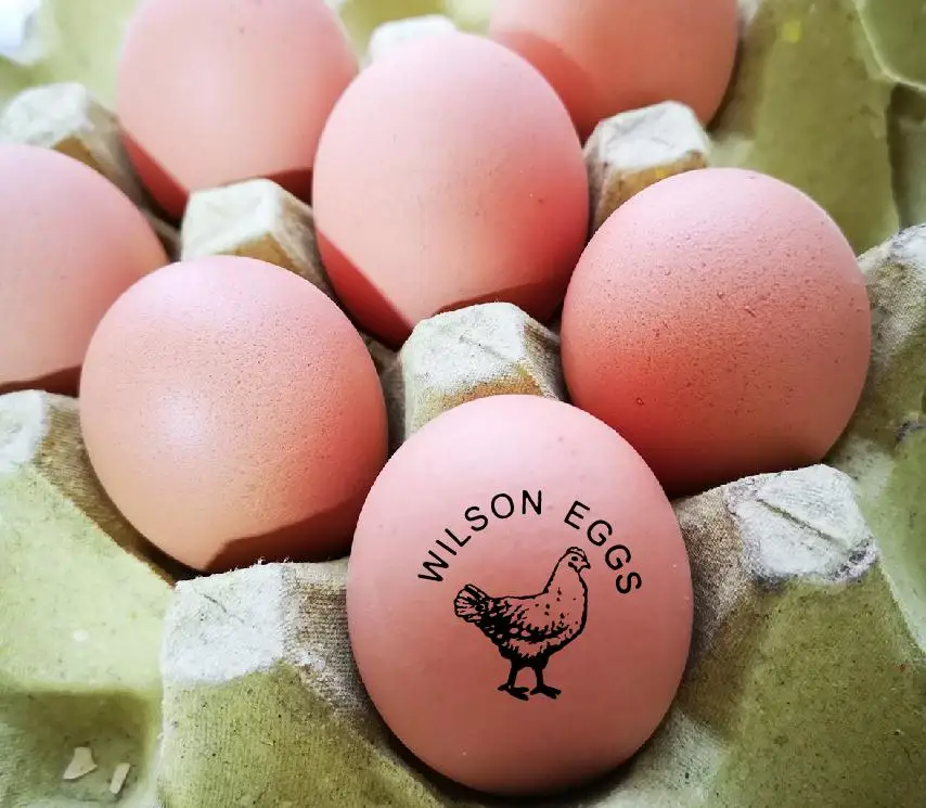 Индивидуальный для курицы яичные этикетки штамп яйцо картонная коробка курятник