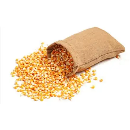 Высокое качество органический английский попкорн сухой фруктовый корм чудесный