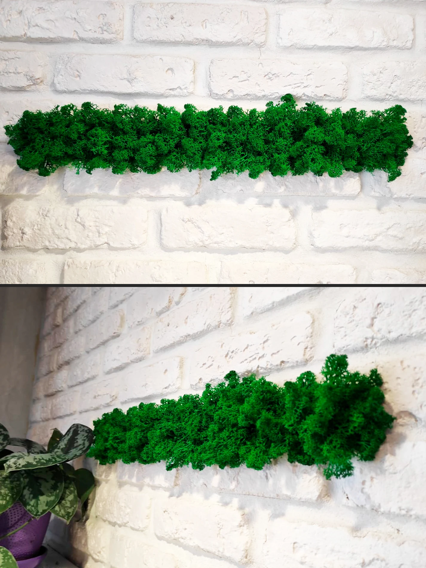 Лента из стабилизированного мха 50х5см ( самоклеющаяся) декор для дома украшение