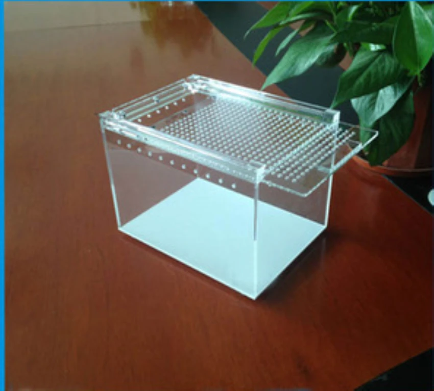 Для улитки акриловая стеклянная коробка ваза мини пейзаж Сказочный Сад DIY Террариум бутылка Achatina
