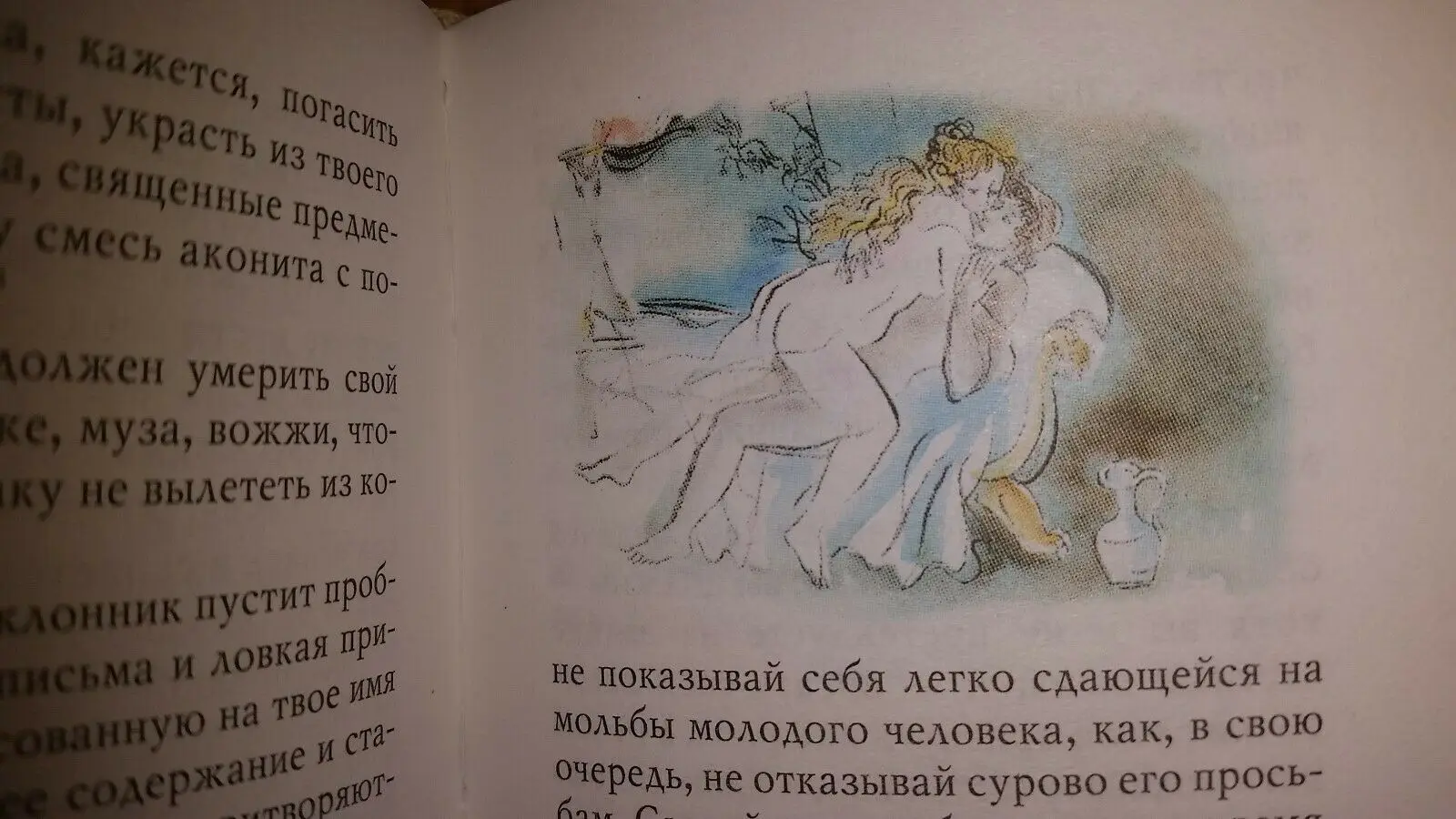 Рисунок 5 - Современная Русская мини-книга