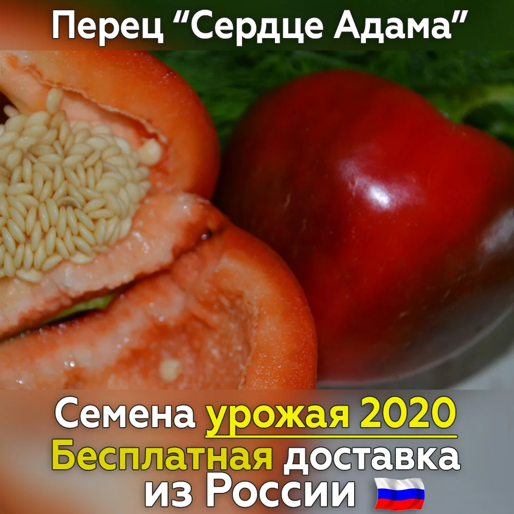 Семена сладкого перца Сердце Адама для посадки. Свежий урожай проверенный