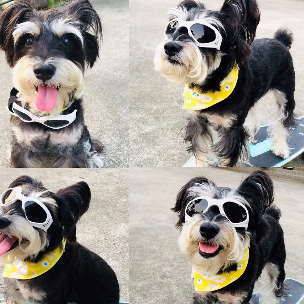 

Солнцезащитные очки для собак, с защитой от УФ-лучей