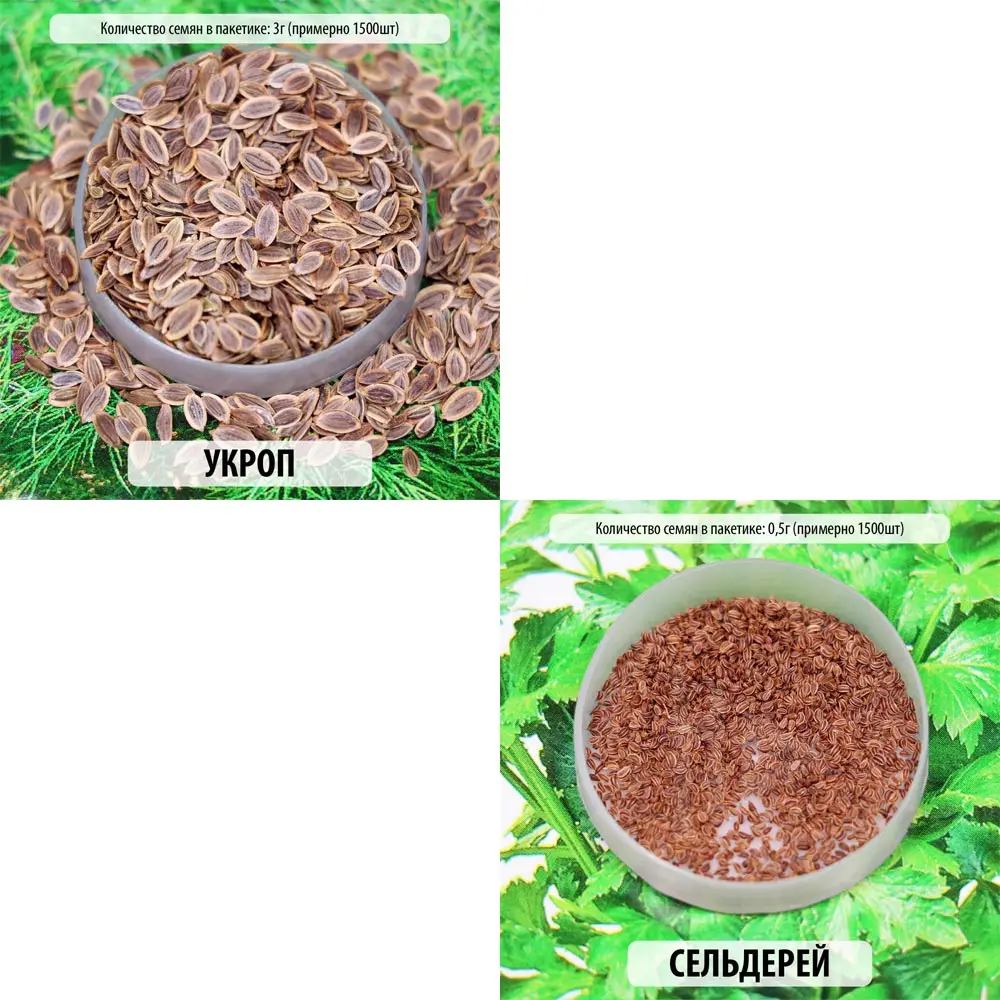 Семена овощей зелени: петрушка листовая укроп кориандр овощной кинза лук батун