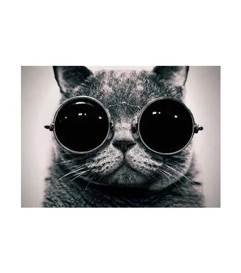 Наклейка на ноутбук стикер планшет аксессуар для ноутбука планшета | Компьютеры