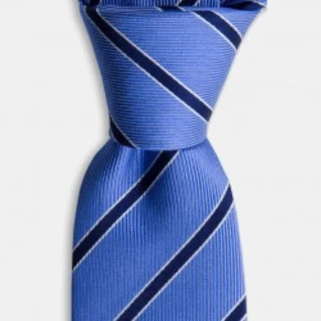 

Navy blue and white striped blue silk tie 67825593
