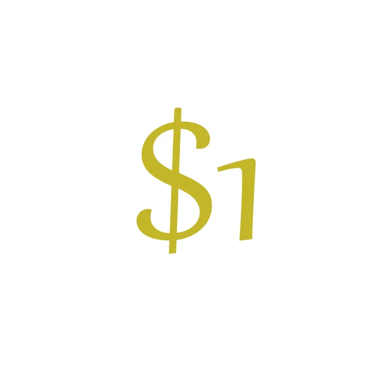 

$1 specail link for specail customer