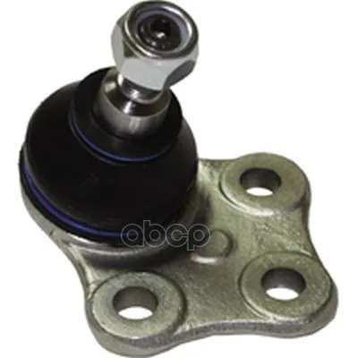 Ball Bearing | Front Right/Lion Renault Megane 09 Birth and