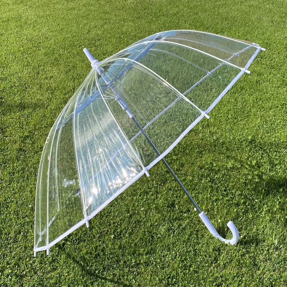 Зонт прозрачный. Зонт женский трость. Прозрачный зонт женский. Зонт полуавтомат. Зонты прозрачные. - 100 топовых товаров с Али