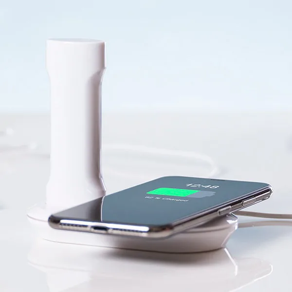 Set of Chargers 2200 mAh (2 pcs) 145959|Зарядки для планшетов| |