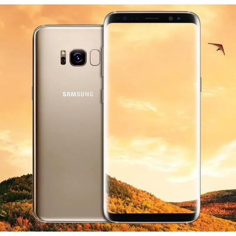 Рисунок 3 - Смартфон Samsung Galaxy S8/S8 Plus