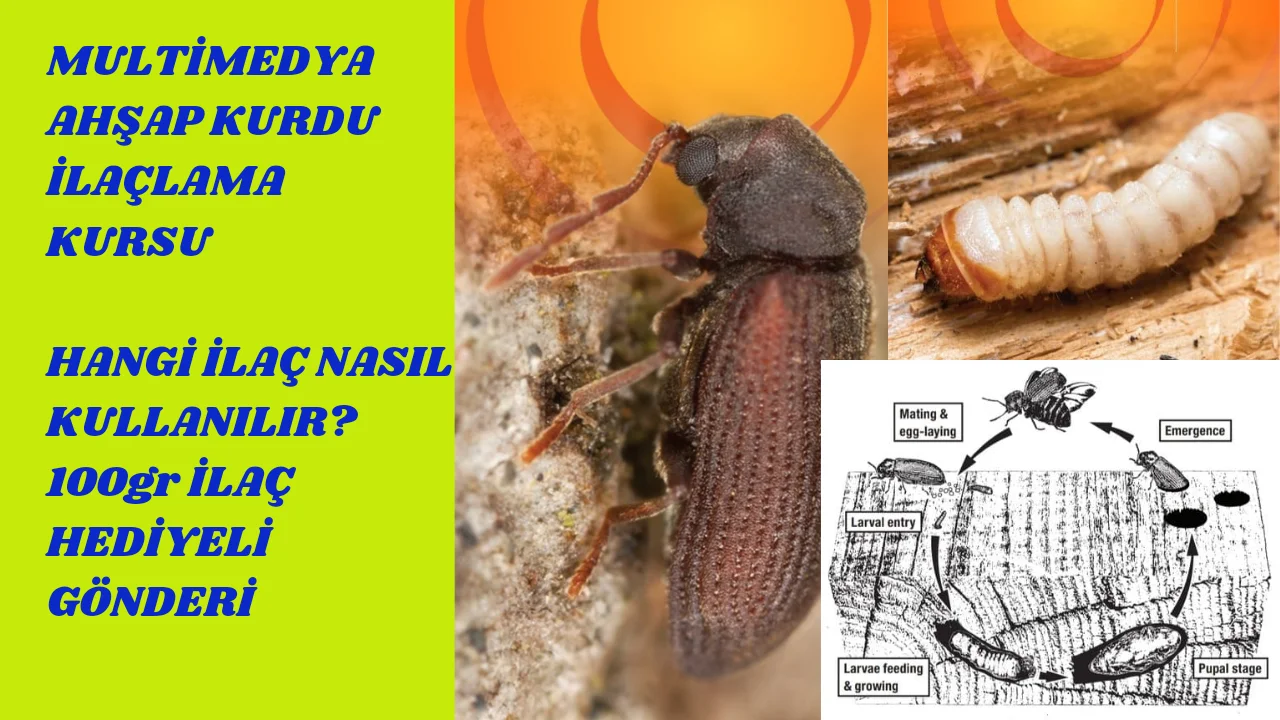 

GLOBAL PEST CONTROL TRAINING AND MANAGEMENT FULL SET EBOOK 3500 PAGE 1000 VIDEO GIANT WORk INSTRUCTION BOOK PROFESSIONAL