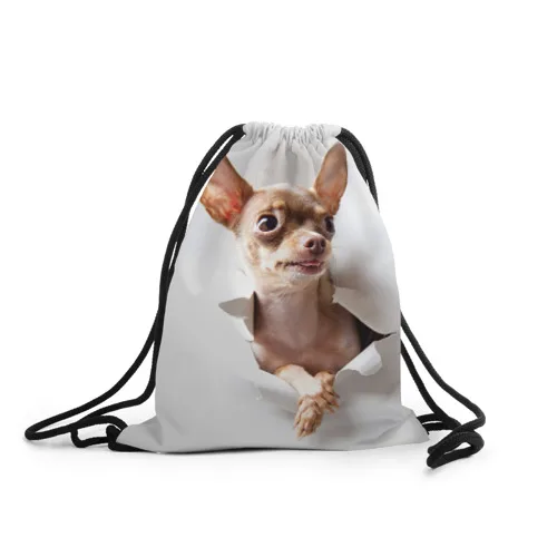 Рюкзак мешок с принтом Животные для мальчиков и девочек детей в школе