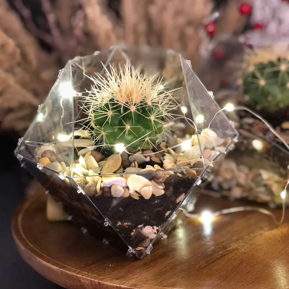 Флорариум &quotКубар&quot Сборная модель