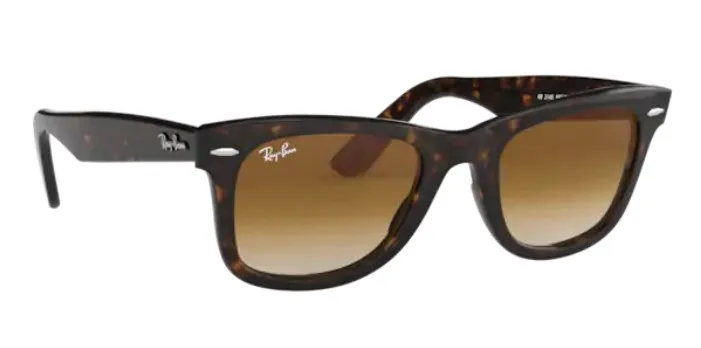 ray ban polarized wayfarers