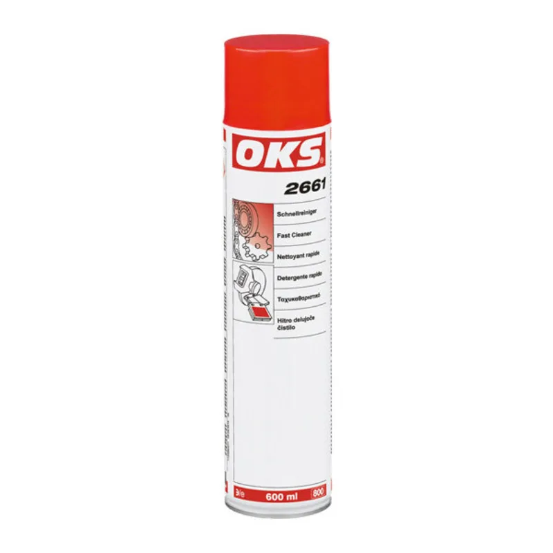 OKs 2661-fast acting cleaner aerosol 600 ml | Автомобили и мотоциклы