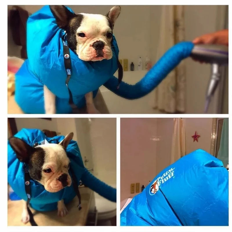 Прямая поставка сушилка для собак слоеного и пуха дешевая груминга фен волос